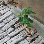 Frank Pfister - @pfister_frank - Instagram