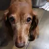 Frank Pickles - @mrfrankpickles - TikTok