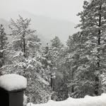 Frank Piehler - @frank.piehler.921 - Instagram
