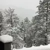 frankpiehler - @frankpiehler - TikTok