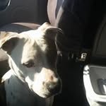 Frank Pitts - @bones8569 - Instagram