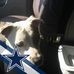 Frank Pitts - Facebook
