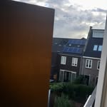 Frank the Plank - @frank_a_plank - Instagram