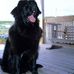 Frank Plati - Facebook