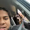 frank - @frankplumbs - TikTok