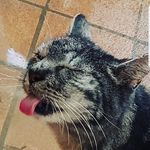 Frank Pohl - @pohlfrank1968 - Instagram