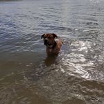 Frank Pohl - @frank.pohl.1650 - Instagram