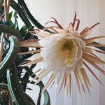 Frank Pohl - @frank.pohl.7712 - Instagram