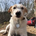Frank Pohl - @fp6680 - Instagram