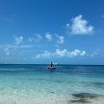Frank Pohl - @frank_pohl_ - Instagram