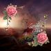 Frank Pohl - Facebook