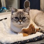 Frank Pollmann - @frank.pollmann.73 - Instagram