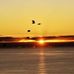 Frank Pollak - Facebook