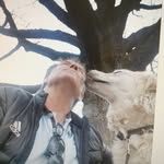 Frank Pollak - @pollakweikersheim - Instagram