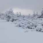 František Poulíček - @fran_kpool - Instagram