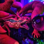 @frankpop61 - Instagram
