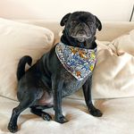 Frank Posada - @panchoposada - Instagram