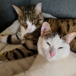 Frank Poschmann - @frank.poschmann - Instagram