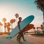 Frank Potter - @frankzeplin1203 - Instagram