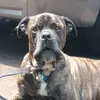 Frank Potter - @frank.potter48 - TikTok
