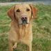 Frank Potts - Facebook