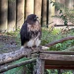 Frank - @frankpreston - Instagram