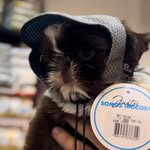 Frank Prestes - @frankprestes.dog - Instagram