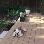 Frank Prestwidge - @frank.prestwidge - Instagram