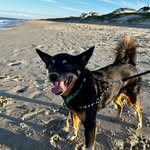 Frank Prochaska - @btsc1_ - Instagram