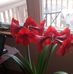 Frank Pulice - Facebook