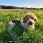 FrankPutz - @frankputz3 - Instagram