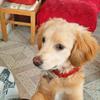 FRANK - @frank.quiroga.ach - TikTok