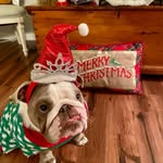 Frank Rao - @frank.rao.5 - Instagram