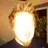 robfrankread - @robfrankread - TikTok