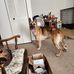 Frank Redden - Facebook