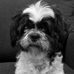 Frank Redmond - Facebook