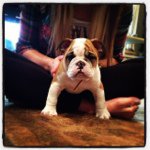 Frank Redmond - @frankreds21 - Instagram