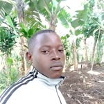 𝗜𝗠𝗔𝗡𝗜𝗞𝗨𝗡𝗗𝗔𝗕𝗔𝗬𝗢 - @frank_regis - Instagram