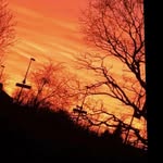 Andreas Frankreiter - @frankreiterandreas - Instagram