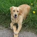 Frank Reiter - @frank.reiter.583 - Instagram