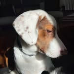 Frank Reiter - @mr.fronkk - Instagram