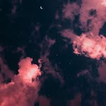 lea frankreiter - @frankreiterl - Instagram
