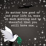 Frank Rende - @frank_1961 - Instagram