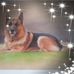 Frank Rettig - Facebook