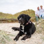Frank Rettig - @rettig76 - Instagram