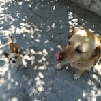 Frank Rex - Facebook