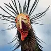 frankkreibich - @frankkreibich - TikTok