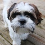 Franklin - @frankie.rickman - Instagram