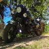 Frank Rider - @eldelarenegada250 - TikTok