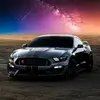 Frank Ridgewood - @frank.ridgewood - TikTok